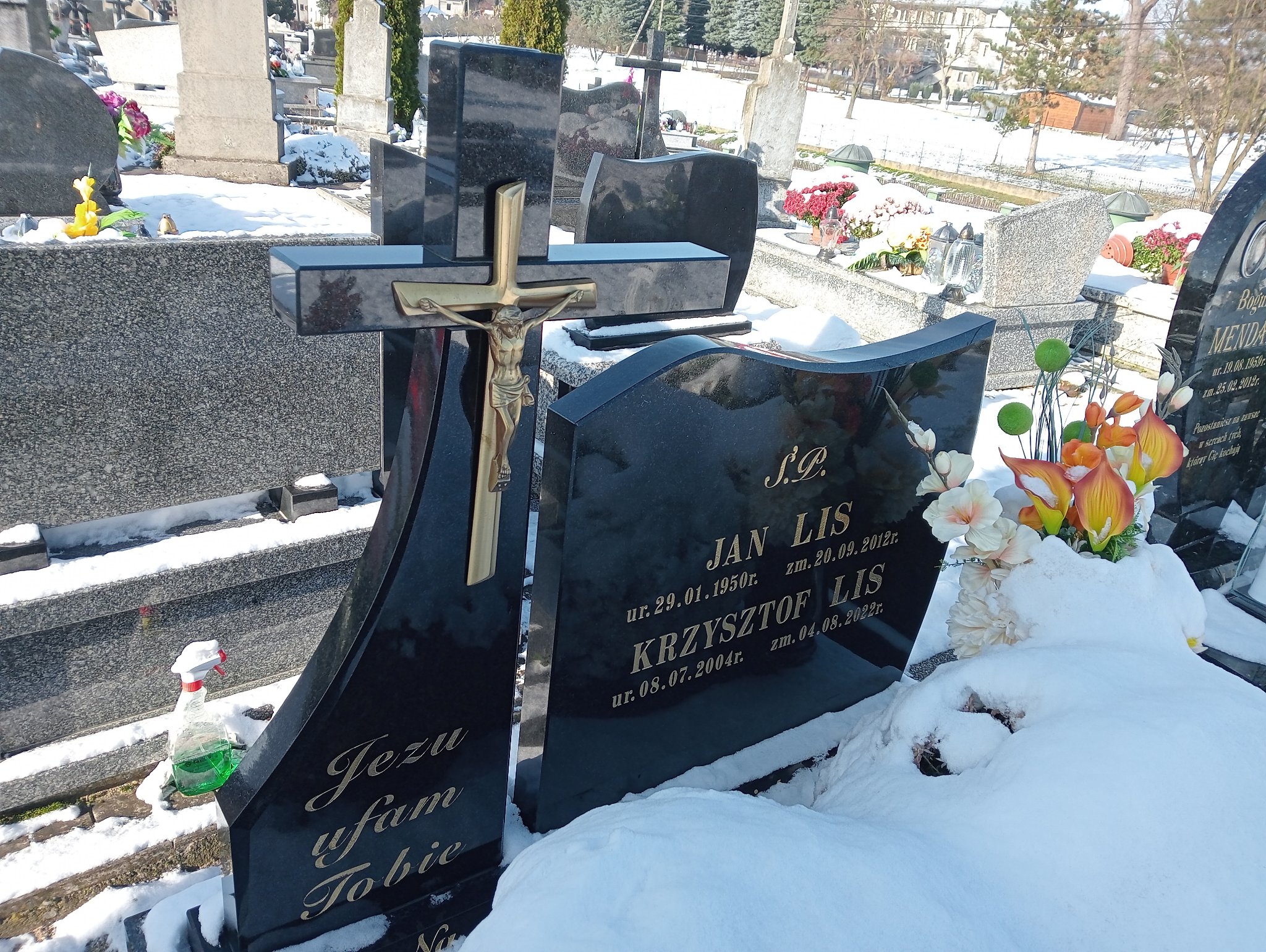 Jan Lis 1950 Odporyszów - Grobonet - Wyszukiwarka osób pochowanych